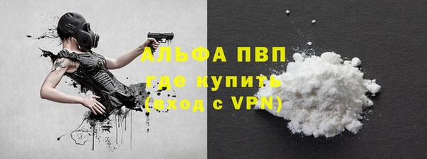 стаф Медвежьегорск