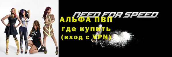 стаф Медвежьегорск
