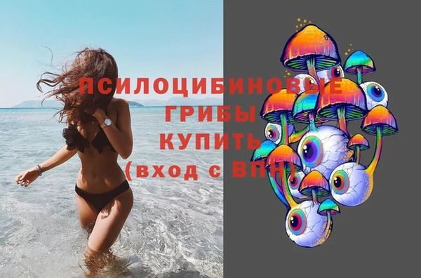 альфа пвп Медногорск