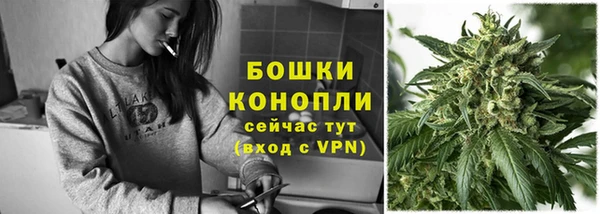 альфа пвп Медногорск